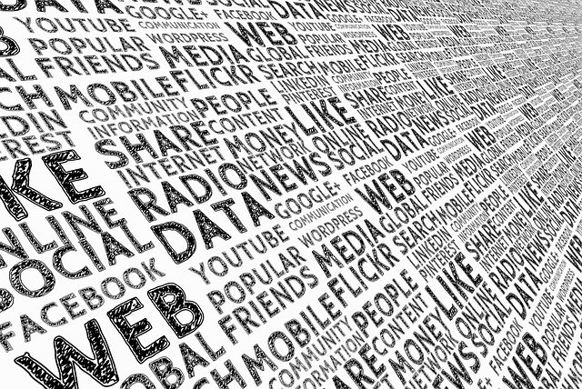 network web text